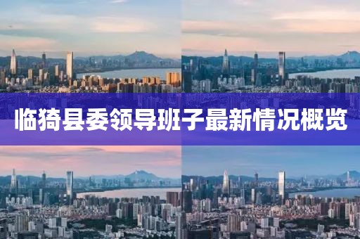 临猗县委领导班子最新情况概览