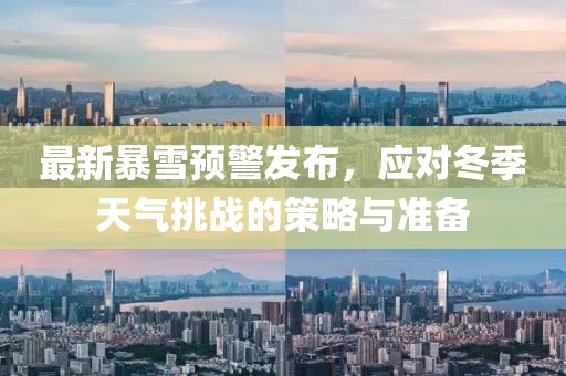 最新暴雪预警发布，应对冬季天气挑战的策略与准备