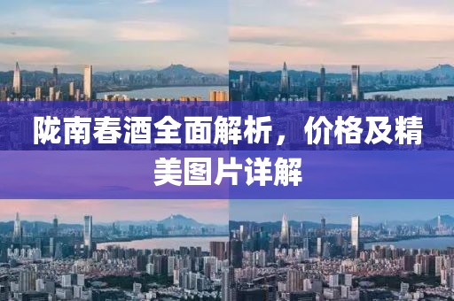 陇南春酒全面解析，价格及精美图片详解