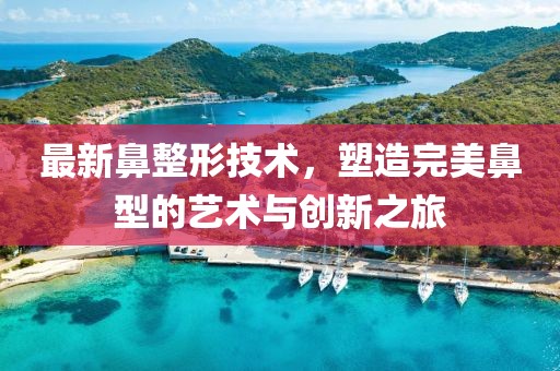 最新鼻整形技术，塑造完美鼻型的艺术与创新之旅