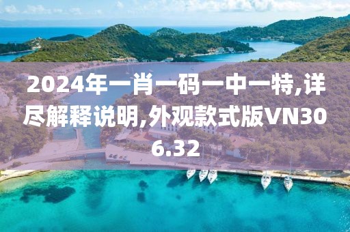 2024年一肖一码一中一特,详尽解释说明,外观款式版VN306.32