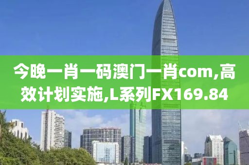 今晚一肖一码澳门一肖com,高效计划实施,L系列FX169.84