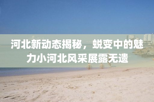 河北新动态揭秘，蜕变中的魅力小河北风采展露无遗