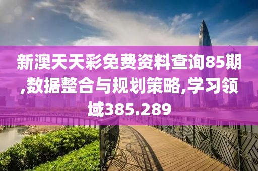 新澳天天彩免费资料查询85期,数据整合与规划策略,学习领域385.289