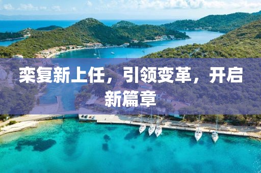栾复新上任，引领变革，开启新篇章