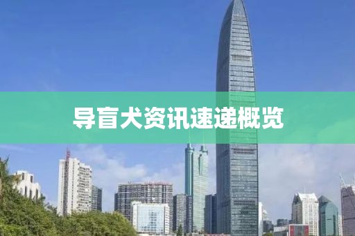 导盲犬资讯速递概览
