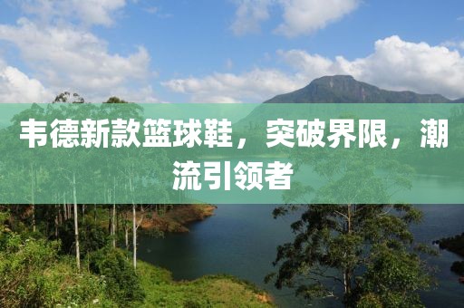 韦德新款篮球鞋，突破界限，潮流引领者