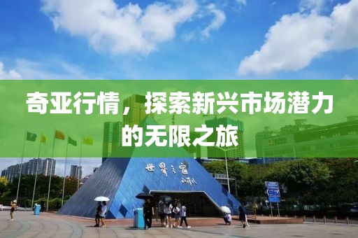 奇亚行情，探索新兴市场潜力的无限之旅