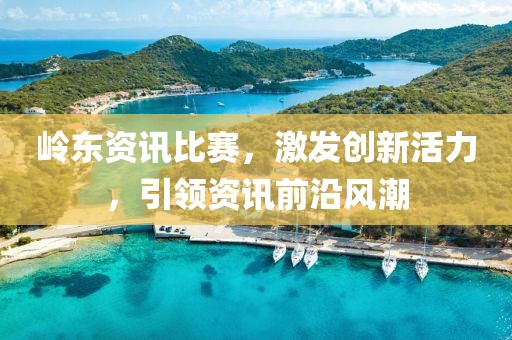 岭东资讯比赛，激发创新活力，引领资讯前沿风潮