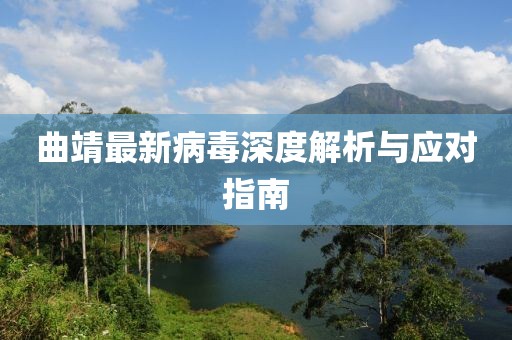 曲靖最新病毒深度解析与应对指南