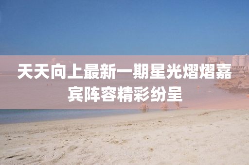 天天向上最新一期星光熠熠嘉宾阵容精彩纷呈