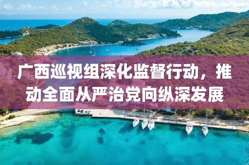 广西巡视组深化监督行动，推动全面从严治党向纵深发展