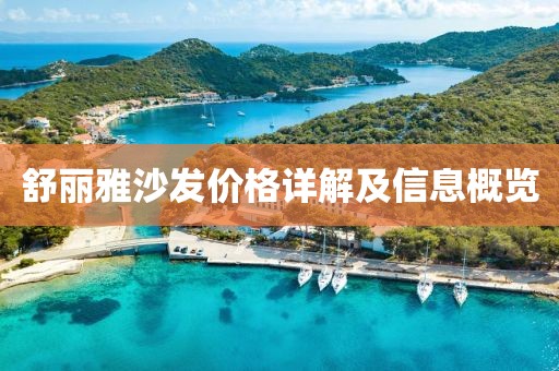 舒丽雅沙发价格详解及信息概览