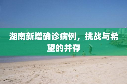 湖南新增确诊病例，挑战与希望的并存