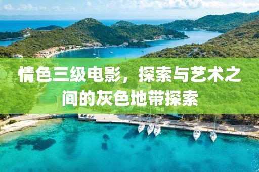 情色三级电影，探索与艺术之间的灰色地带探索