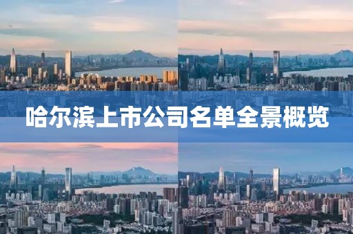 哈尔滨上市公司名单全景概览