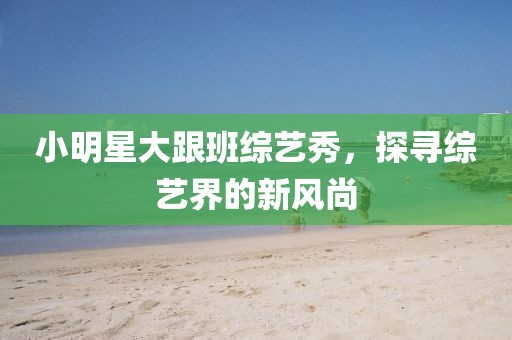 小明星大跟班综艺秀，探寻综艺界的新风尚