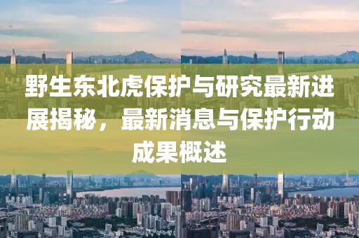 野生东北虎保护与研究最新进展揭秘，最新消息与保护行动成果概述