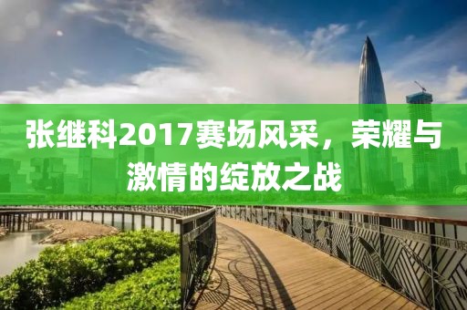 张继科2017赛场风采，荣耀与激情的绽放之战