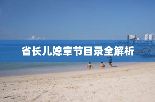 省长儿媳章节目录全解析