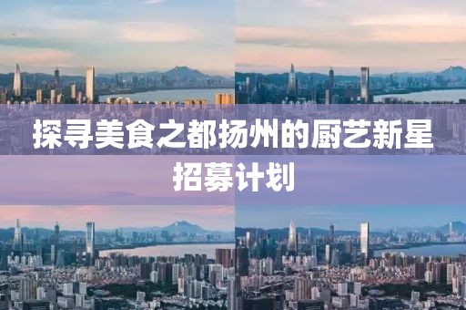 探寻美食之都扬州的厨艺新星招募计划
