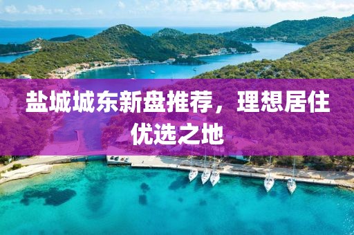 盐城城东新盘推荐，理想居住优选之地