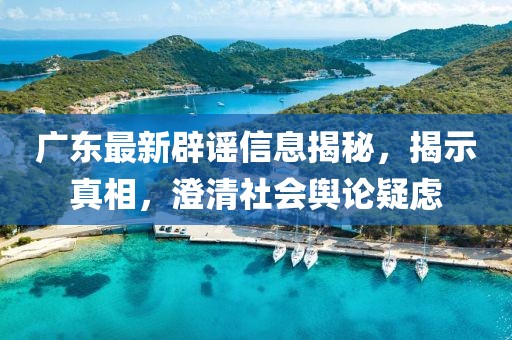 广东最新辟谣信息揭秘，揭示真相，澄清社会舆论疑虑