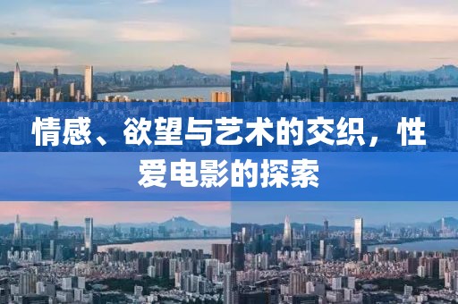 情感、欲望与艺术的交织，性爱电影的探索