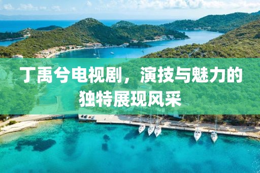 丁禹兮电视剧，演技与魅力的独特展现风采