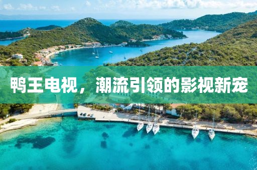 鸭王电视，潮流引领的影视新宠