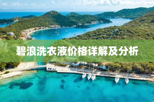 碧浪洗衣液价格详解及分析