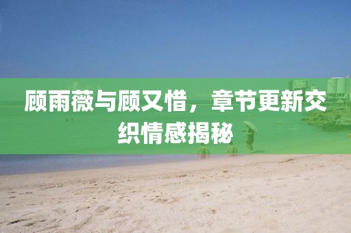 顾雨薇与顾又惜，章节更新交织情感揭秘