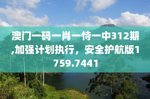 澳门一码一肖一恃一中312期,加强计划执行，安全护航版1759.7441
