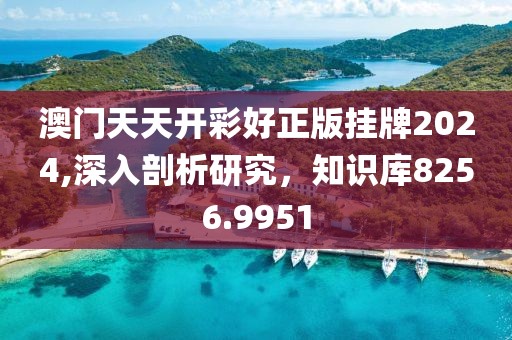 澳门天天开彩好正版挂牌2024,深入剖析研究，知识库8256.9951