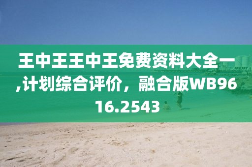 王中王王中王免费资料大全一,计划综合评价，融合版WB9616.2543