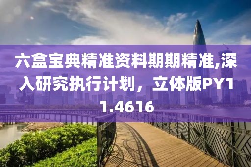 六盒宝典精准资料期期精准,深入研究执行计划，立体版PY11.4616