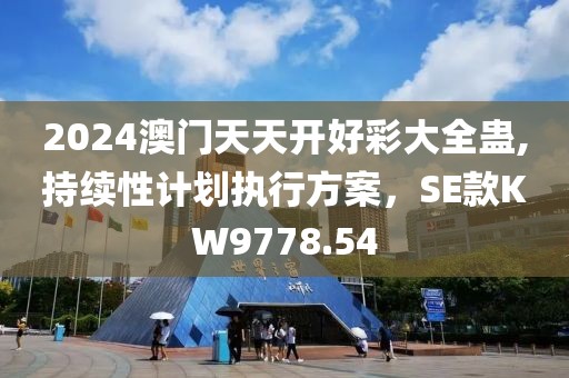 2024澳门天天开好彩大全蛊,持续性计划执行方案，SE款KW9778.54