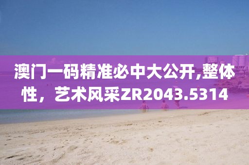 澳门一码精准必中大公开,整体性，艺术风采ZR2043.5314