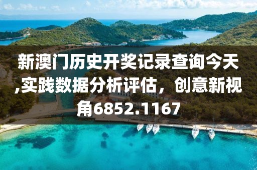新澳门历史开奖记录查询今天,实践数据分析评估，创意新视角6852.1167