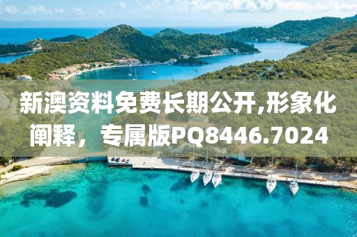 新澳资料免费长期公开,形象化阐释，专属版PQ8446.7024