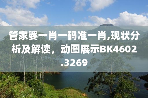 管家婆一肖一码准一肖,现状分析及解读，动图展示BK4602.3269