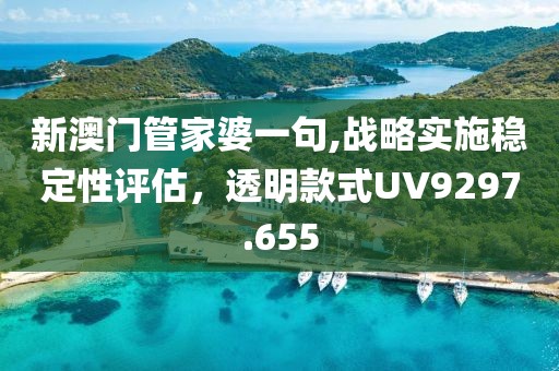 新澳门管家婆一句,战略实施稳定性评估，透明款式UV9297.655