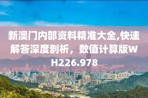 新澳门内部资料精准大全,快速解答深度剖析，数值计算版WH226.978