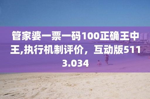 管家婆一票一码100正确王中王,执行机制评价，互动版5113.034