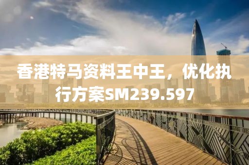 香港特马资料王中王，优化执行方案SM239.597