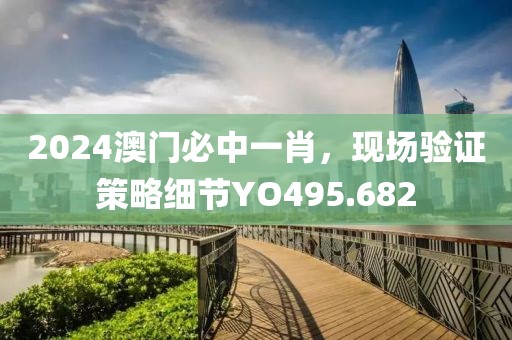 2024澳门必中一肖，现场验证策略细节YO495.682