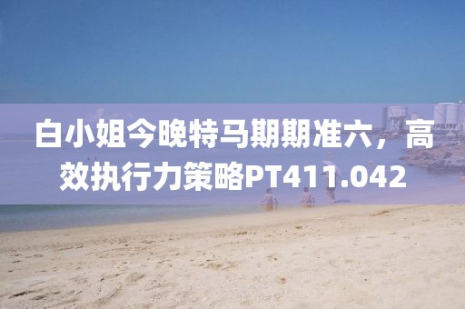 白小姐今晚特马期期准六，高效执行力策略PT411.042