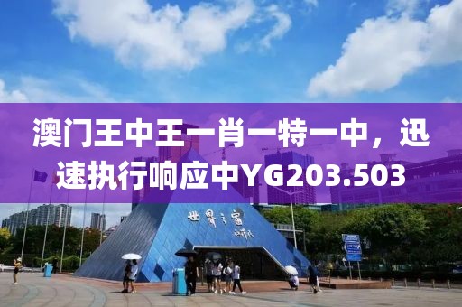 澳门王中王一肖一特一中，迅速执行响应中YG203.503