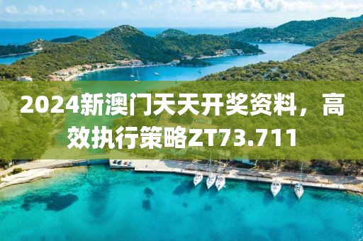 2024新澳门天天开奖资料，高效执行策略ZT73.711