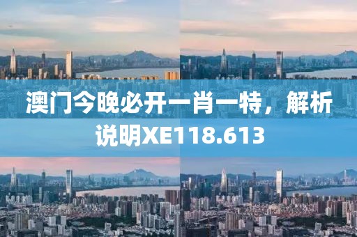 澳门今晚必开一肖一特，解析说明XE118.613